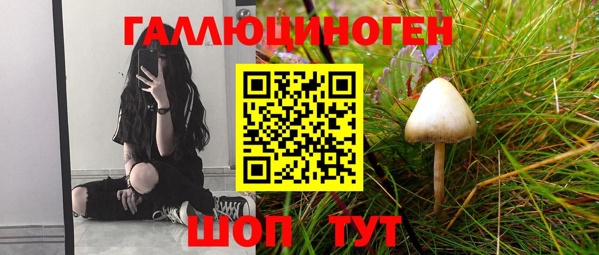 Псилоцибиновые грибы Psilocybe  Вход с VPN  Гулькевичи 