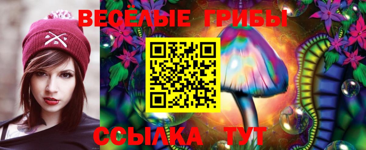 Псилоцибиновые грибы мицелий Гулькевичи